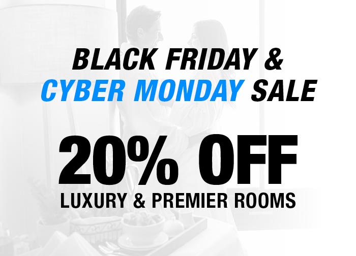 Black Friday Cyber Monday - Save 20%