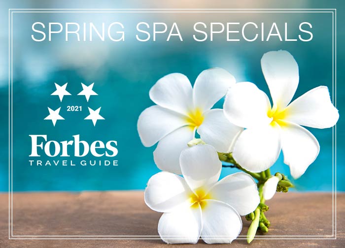 Spring Spa Features