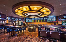 Race and Sports Book thumbnail